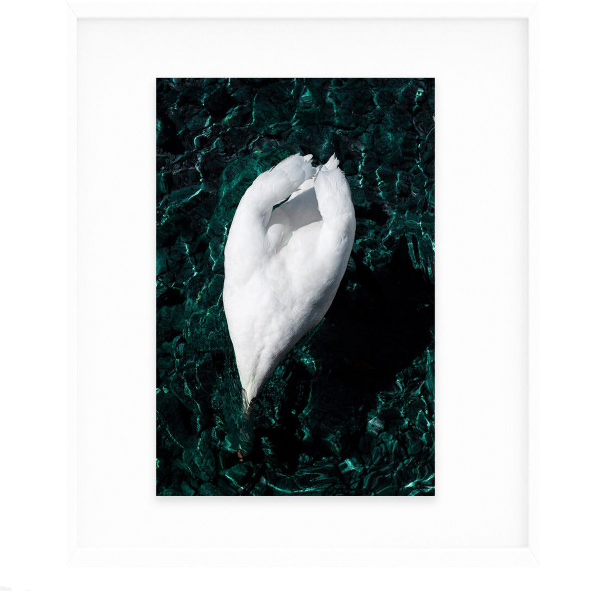 “The Laughter of the Swan”, Put on My Geneva Armor Series, 2023