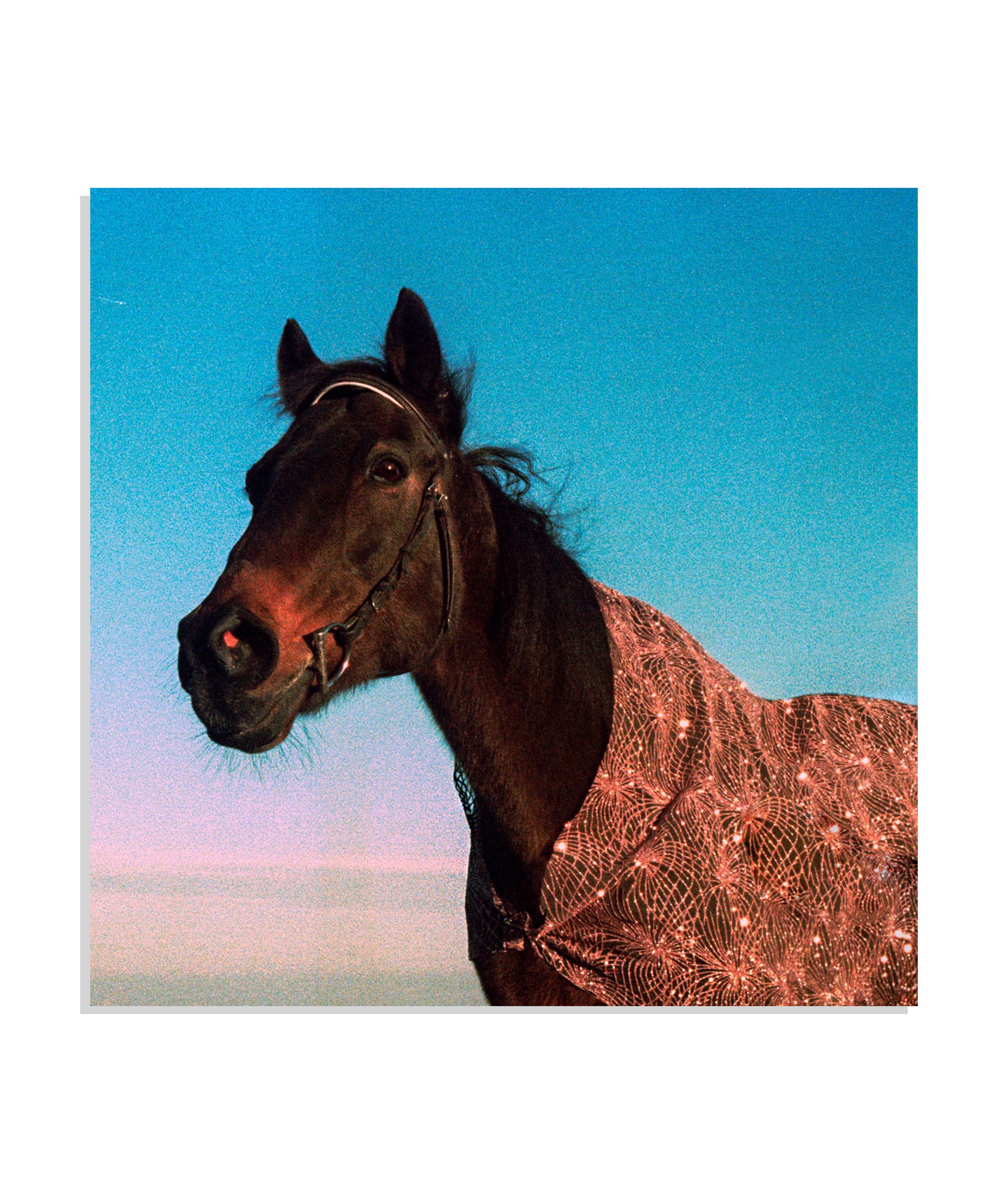 The Prince: Paşa, 2025