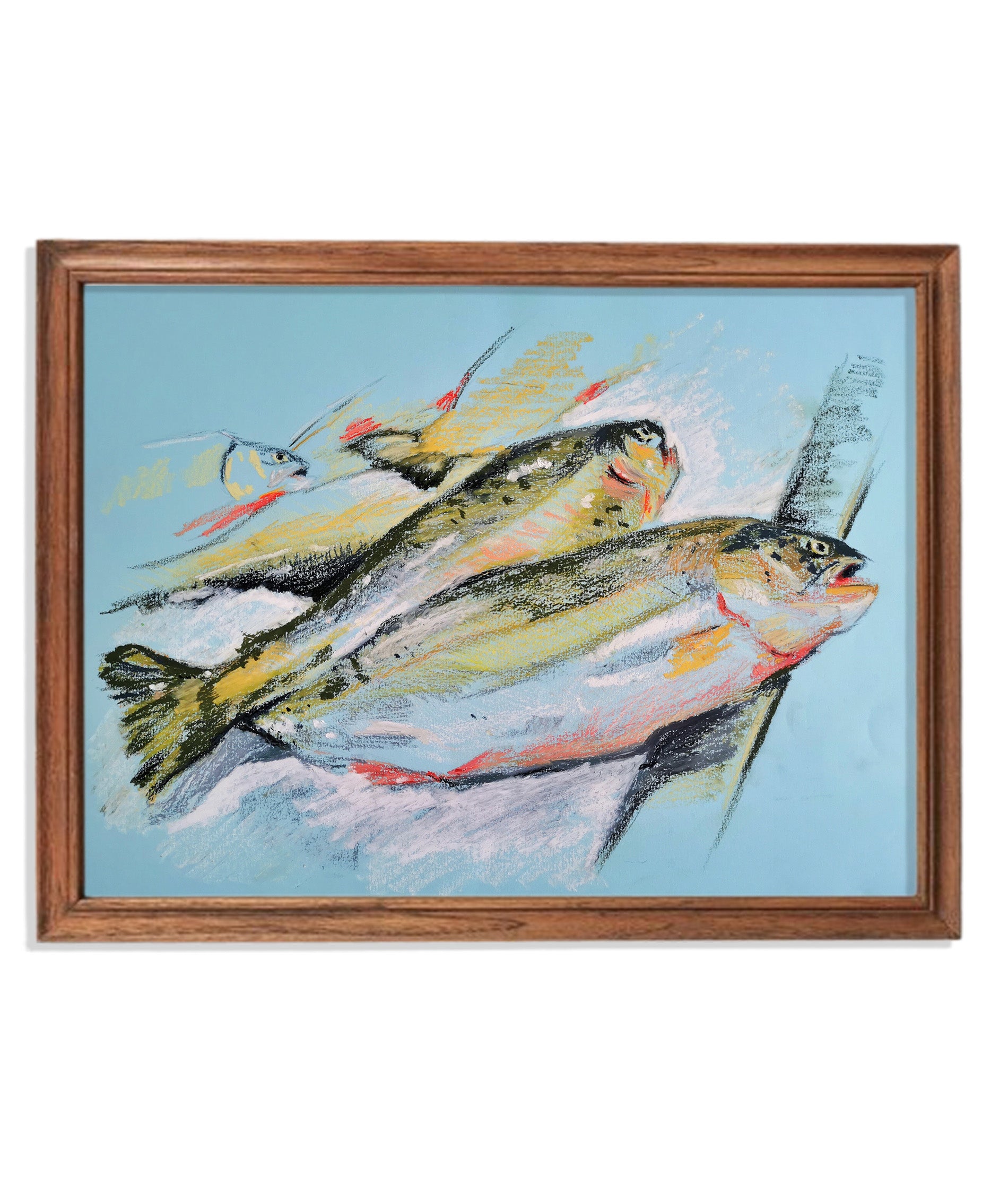 Karadeniz Somonu, 2024