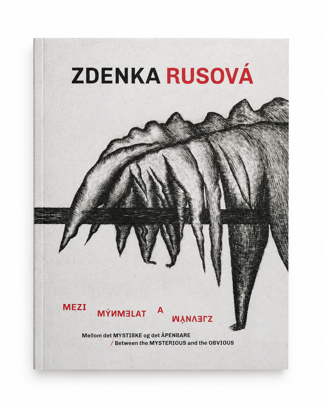 Zdenka Rusová: Between the Mysterious and the Obvious