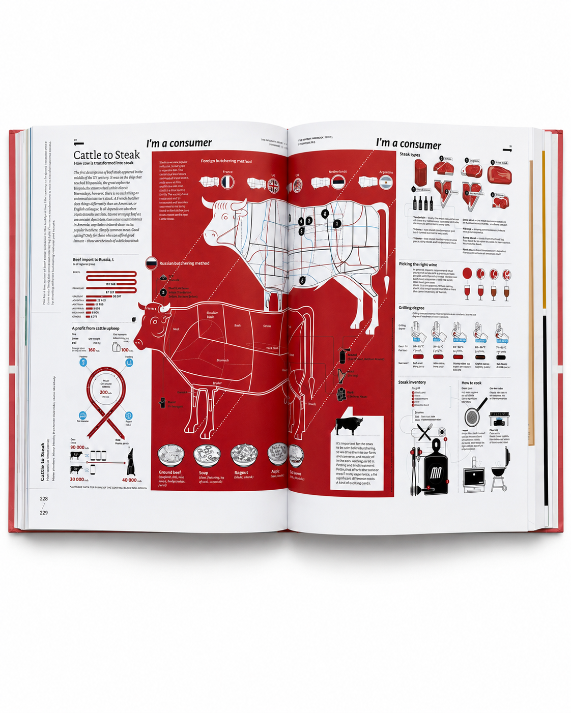 Infographic Design: Visual Storytelling with Information and Data