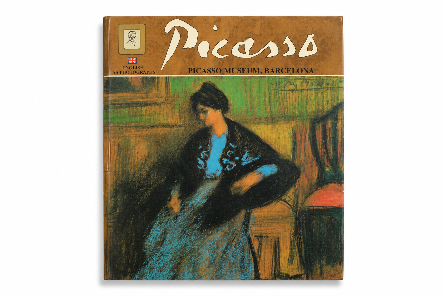 Picasso: 93 Photographs