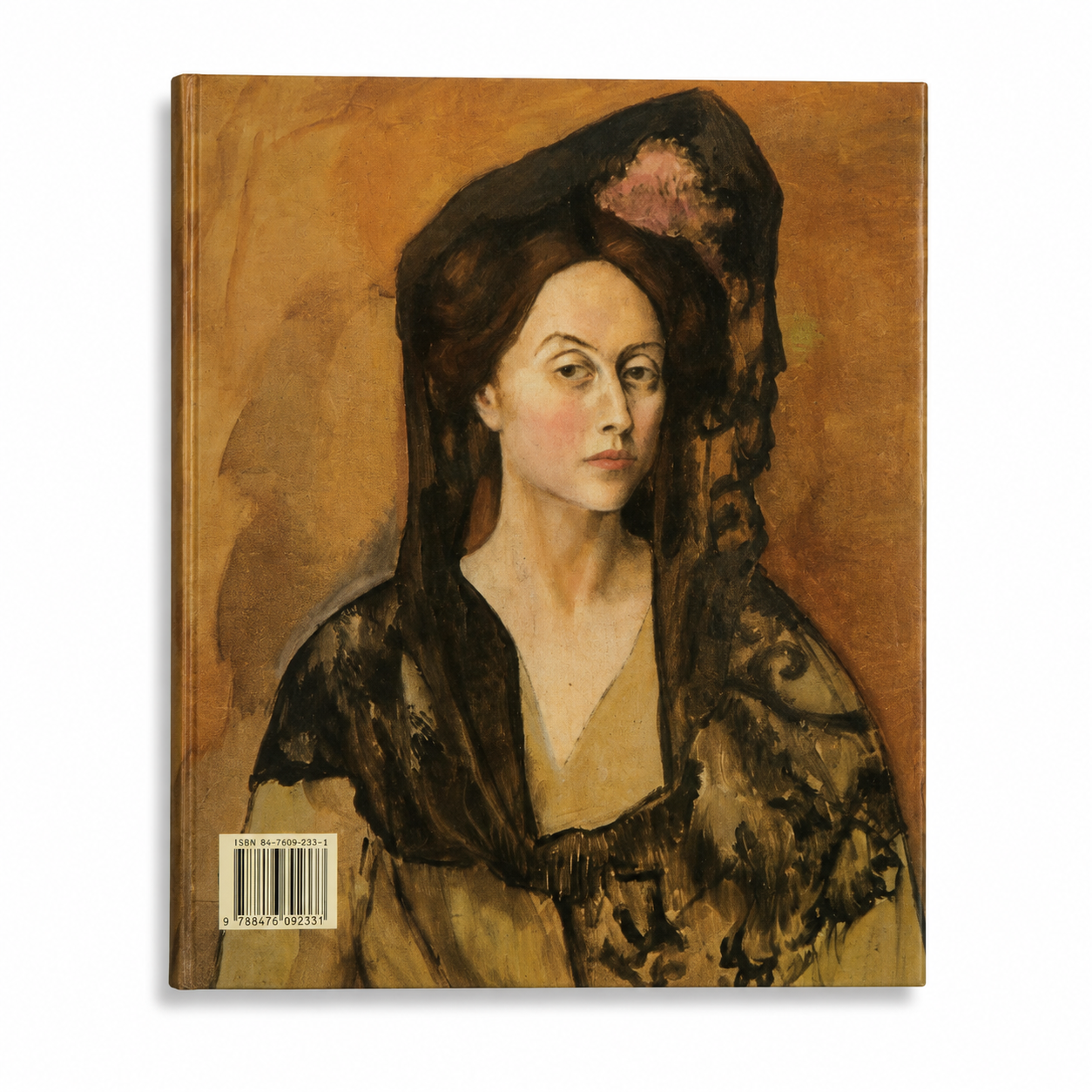 Picasso: 93 Photographs