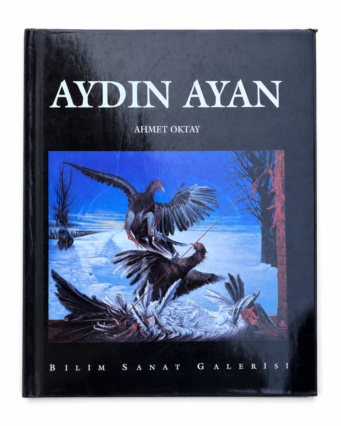 Aydın Ayan