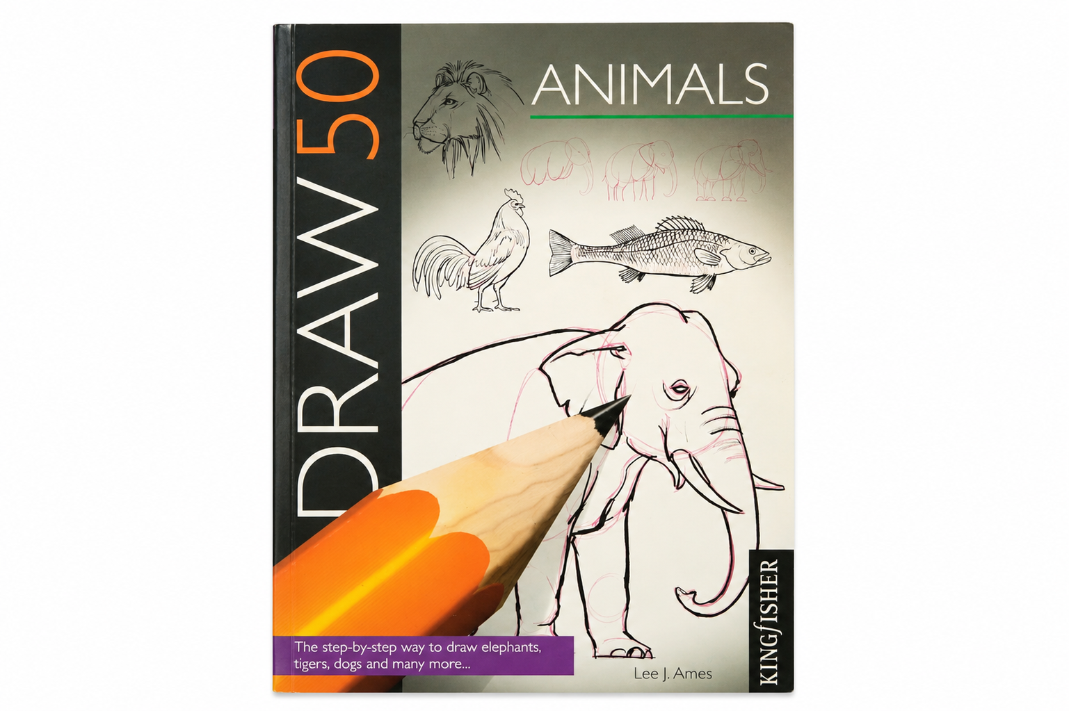 Draw 50 Animals