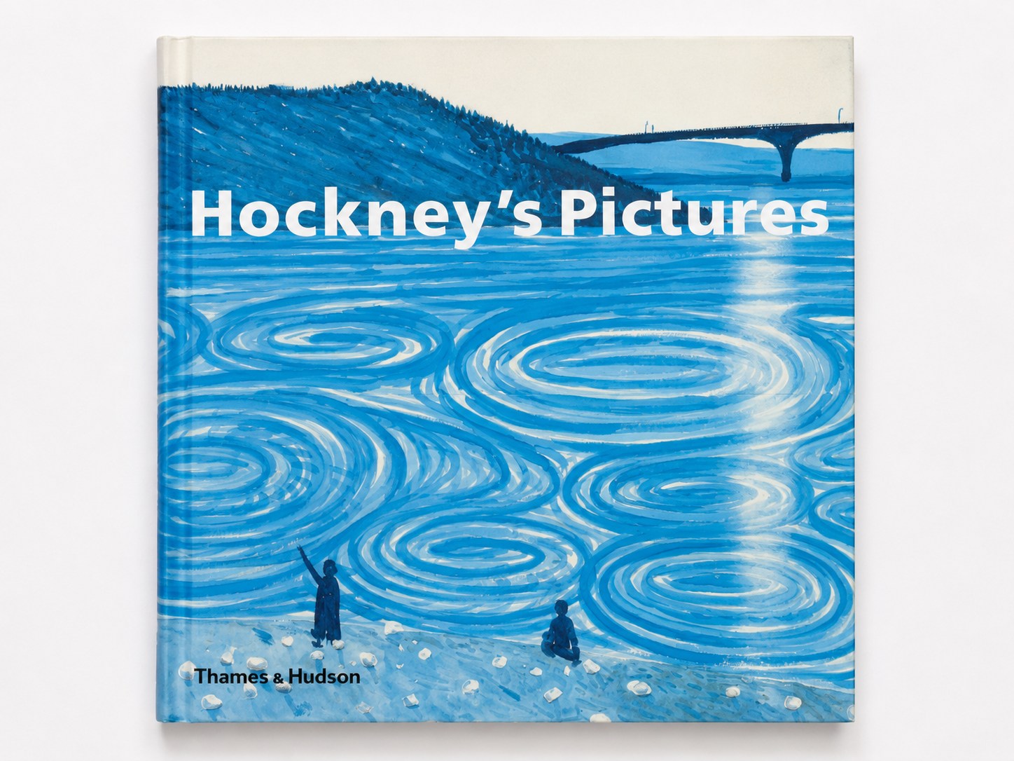 Hockney's Pictures