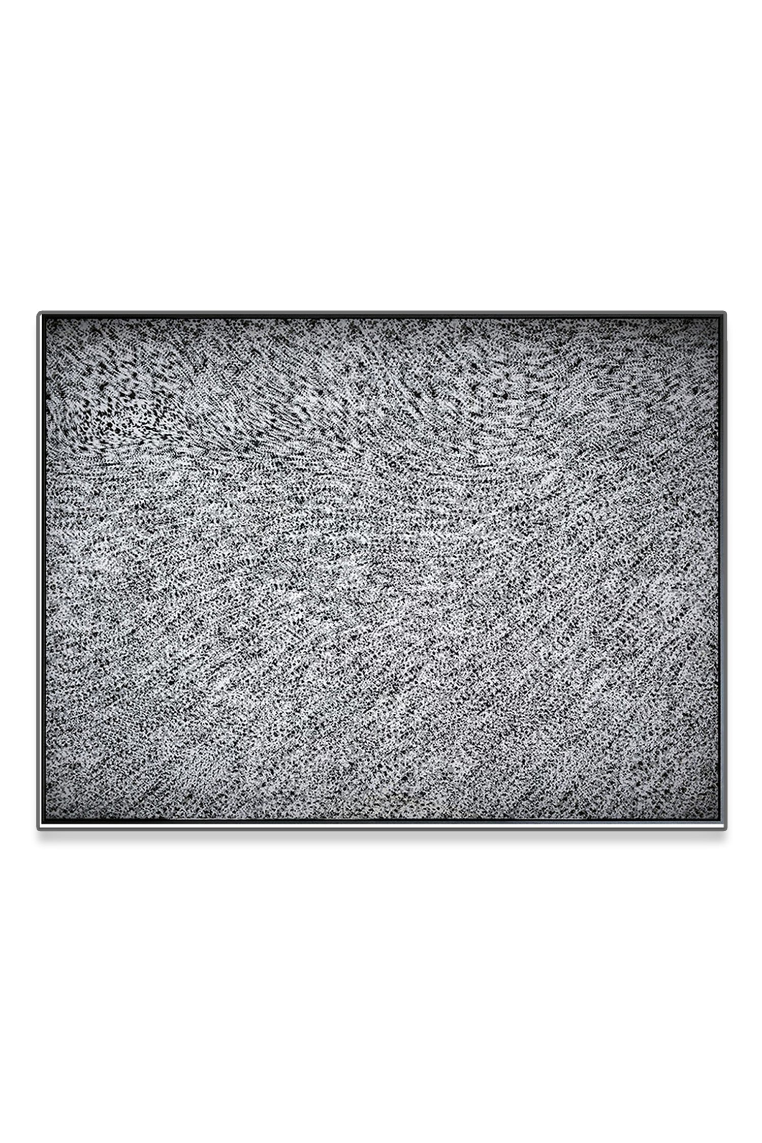 Noise, 2017