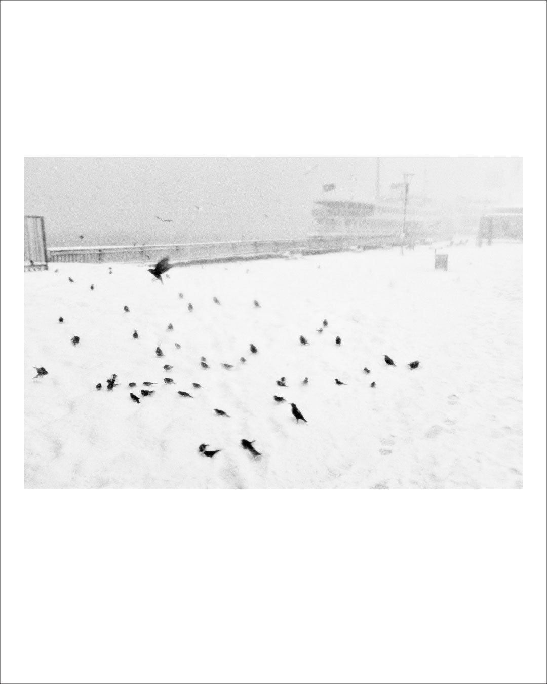 A Snowy Morning in Eminönü